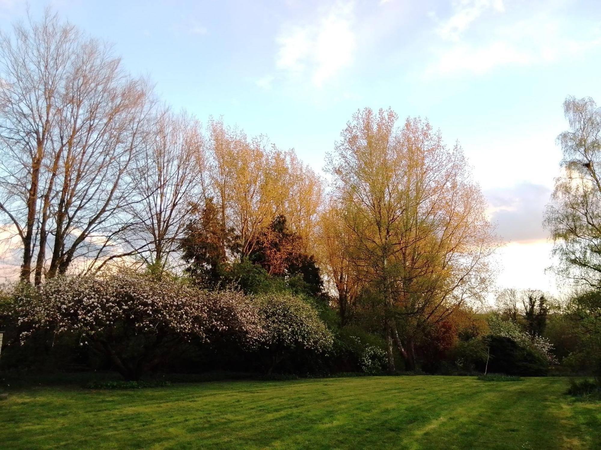 Robin Hill Cottage Amesbury Dış mekan fotoğraf